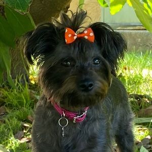 Meet your Posher, Angela